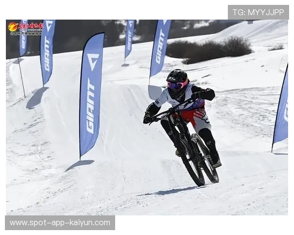 极寒赛场：雪地与冰原上的极速狂欢，极寒模式如何使用滑雪板